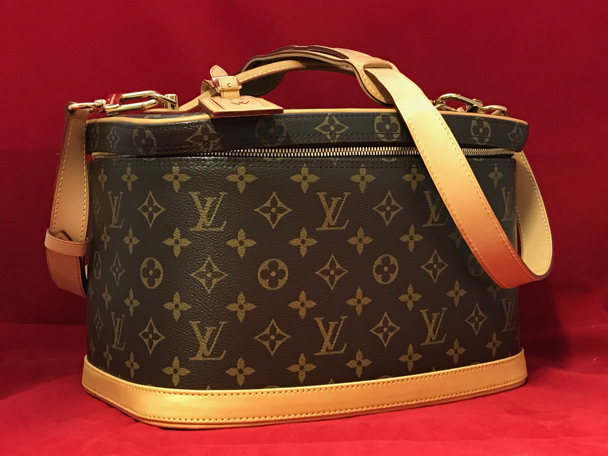 Louis Vuitton Case